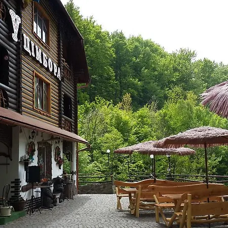 Hotel U ?imbora *